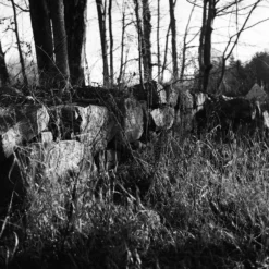 Nikon FE (Silver) 35mm SLR Film Camera With Nikkor 50mm F1.8 Lens -Camera Promotion Store nikon fe silver 35mm slr film camera with nikkor 50mm f1 8 lens 17