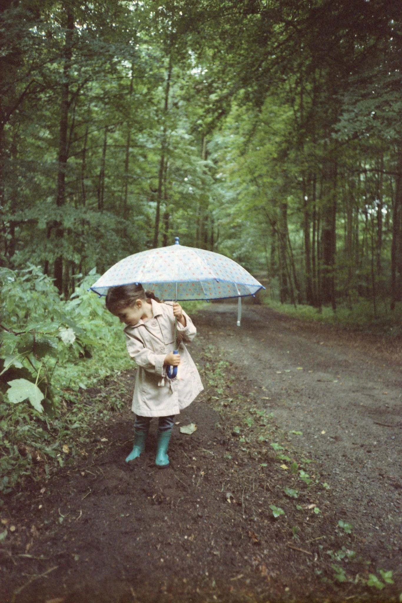 Nikon Lite Touch Zoom 300 AF 35mm Film Camera Point And Shoot 13 Nikon Lite Touch Zoom 300 AF 35mm Film Camera Point And Shoot - Image 11