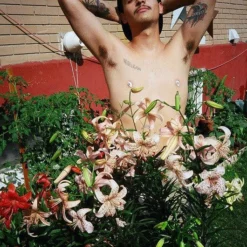 Nikon Lite Touch Zoom 70w Brand New 35mm Film Camera Point And Shoot -Camera Promotion Store nikon lite touch zoom 70w brand new 35mm film camera point and shoot 9