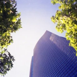 Nikon TW Zoom 35-70 35mm Film Camera Point And Shoot 17 Nikon TW Zoom 35-70 35mm Film Camera Point And Shoot -Camera Promotion Store nikon tw zoom 35 70 35mm film camera point and shoot 7