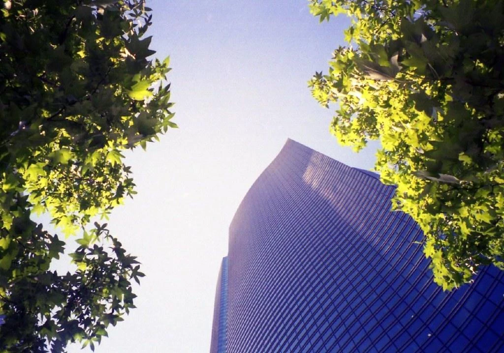 Nikon TW Zoom 35-70 35mm Film Camera Point And Shoot 9 Nikon TW Zoom 35-70 35mm Film Camera Point And Shoot - Image 7