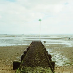 Nikon TW Zoom 35-70 35mm Film Camera Point And Shoot 19 Nikon TW Zoom 35-70 35mm Film Camera Point And Shoot -Camera Promotion Store nikon tw zoom 35 70 35mm film camera point and shoot 9