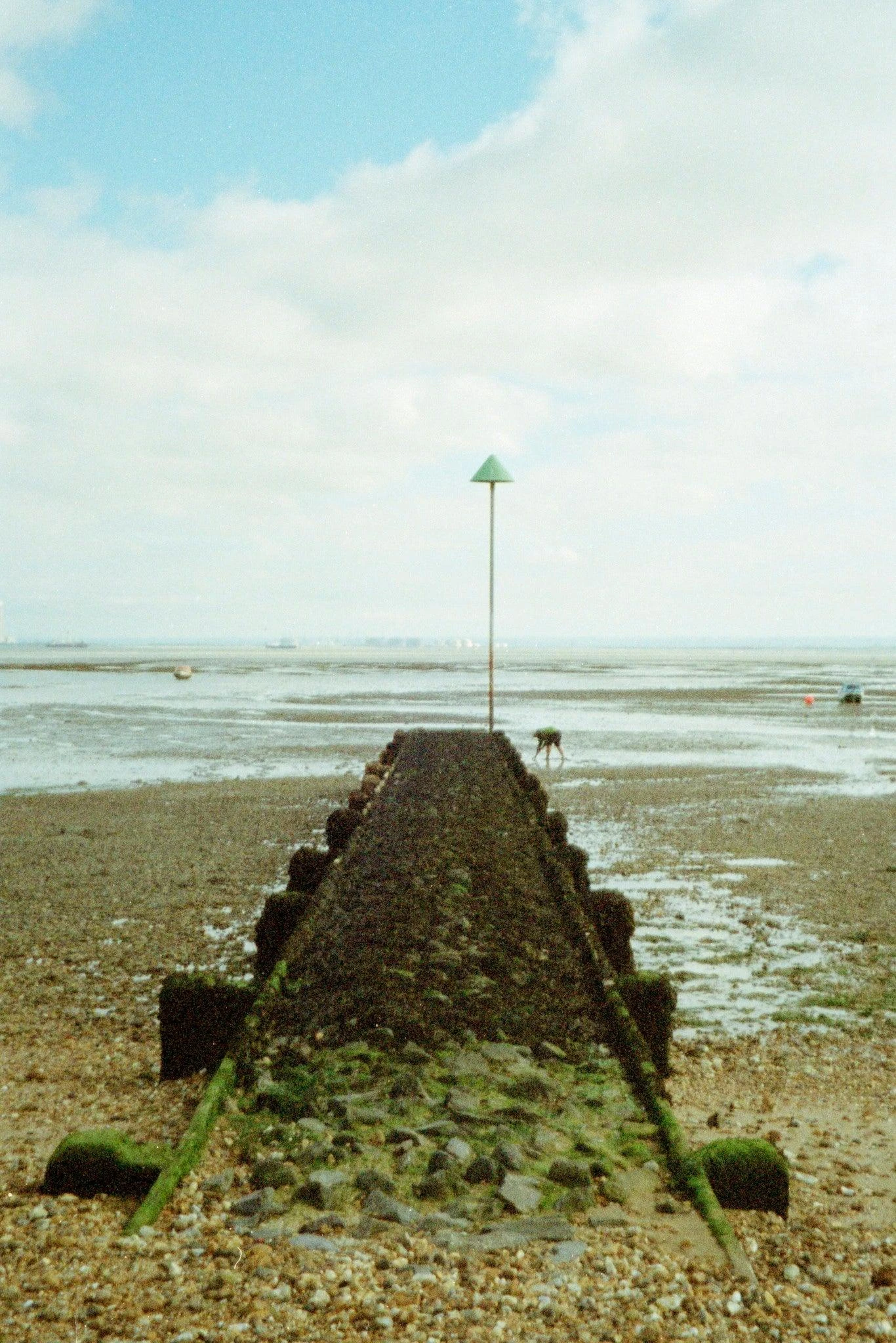 Nikon TW Zoom 35-70 35mm Film Camera Point And Shoot 11 Nikon TW Zoom 35-70 35mm Film Camera Point And Shoot - Image 9