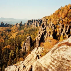 Olympus 35DC Point And Shoot 35mm Film Camera. -Camera Promotion Store olympus 35dc point and shoot 35mm film camera 8