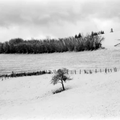 Olympus 35DC Point And Shoot 35mm Film Camera. -Camera Promotion Store olympus 35dc point and shoot 35mm film camera 9