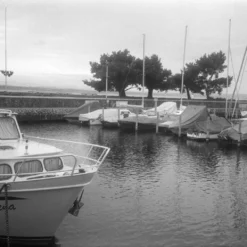 Olympus AF-1 35mm Film Camera Point And Shoot -Camera Promotion Store olympus af 1 35mm film camera point and shoot 19