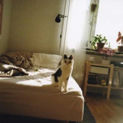 Olympus AF 10 Mini 35mm Film Camera Point And Shoot -Camera Promotion Store olympus af 10 mini 35mm film camera point and shoot 17