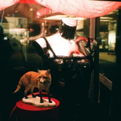 Olympus Mju III Zoom 150 35mm Film Camera Point And Shoot -Camera Promotion Store olympus mju iii zoom 150 35mm film camera point and shoot 10