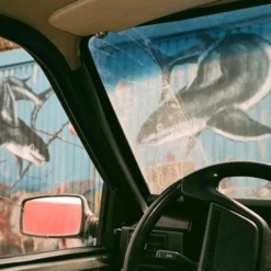 Olympus Mju III Zoom 150 35mm Film Camera Point And Shoot -Camera Promotion Store olympus mju iii zoom 150 35mm film camera point and shoot 7