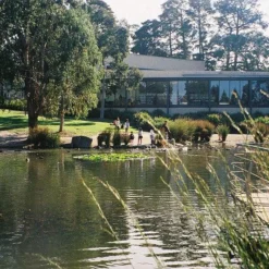 Olympus Mju Zoom 105 35mm Film Camera Point And Shoot -Camera Promotion Store olympus mju zoom 105 35mm film camera point and shoot 9