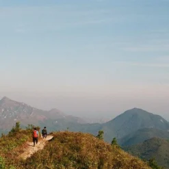 Olympus OM40 Program Black 35mm SLR Film Camera With Olympus Prime Lens -Camera Promotion Store olympus om40 program black 35mm slr film camera with olympus prime lens 14