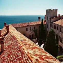 Olympus OM40 Program Black 35mm SLR Film Camera With Olympus Prime Lens -Camera Promotion Store olympus om40 program black 35mm slr film camera with olympus prime lens 8