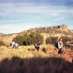 Olympus Superzoom 115 35mm Film Camera Point And Shoot 18 Olympus Superzoom 115 35mm Film Camera Point And Shoot -Camera Promotion Store olympus superzoom 115 35mm film camera point and shoot 8