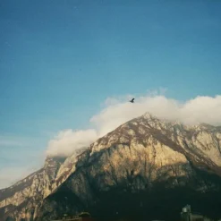 Olympus Superzoom 76S 35mm Film Camera Point And Shoot -Camera Promotion Store olympus superzoom 76s 35mm film camera point and shoot 7