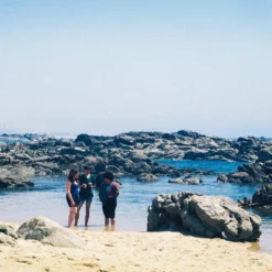 Olympus Superzoom 800S 35mm Film Camera Point And Shoot -Camera Promotion Store olympus superzoom 800s 35mm film camera point and shoot 7