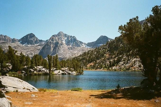 Olympus Trip 35 Custom White Leather Point And Shoot 35mm Film Camera 15 Olympus Trip 35 Custom White Leather Point And Shoot 35mm Film Camera - Image 13