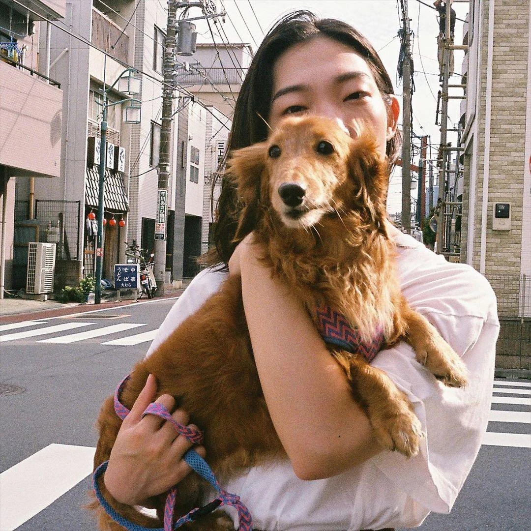 Olympus Trip 35 Custom White Leather Point And Shoot 35mm Film Camera 17 Olympus Trip 35 Custom White Leather Point And Shoot 35mm Film Camera - Image 15