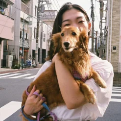 Olympus Trip 35 Point And Shoot 35mm Film Camera -Camera Promotion Store olympus trip 35 point and shoot 35mm film camera 17