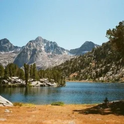 Olympus Trip 35 Soft Beige Leather Point And Shoot 35mm Film Camera -Camera Promotion Store olympus trip 35 soft beige leather point and shoot 35mm film camera 12