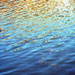 Olympus Trip Panorama 35mm Film Camera Point And Shoot -Camera Promotion Store olympus trip panorama 35mm film camera point and shoot 10