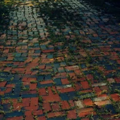 Olympus Trip Panorama 35mm Film Camera Point And Shoot -Camera Promotion Store olympus trip panorama 35mm film camera point and shoot 13