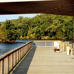 Olympus Trip Panorama 35mm Film Camera Point And Shoot -Camera Promotion Store olympus trip panorama 35mm film camera point and shoot 14