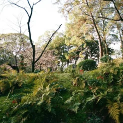 Pentax 645 With 55mm F2.8 Lens. 6X4.5 Medium Format Film Camera. -Camera Promotion Store pentax 645 with 55mm f2 8 lens 6x4 5 medium format film camera 11