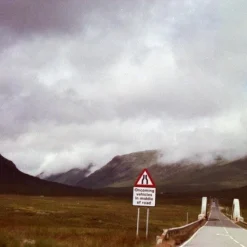 Pentax Espio 115M 35mm Film Camera Point And Shoot 18 Pentax Espio 115M 35mm Film Camera Point And Shoot -Camera Promotion Store pentax espio 115m 35mm film camera point and shoot 8