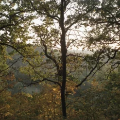 Pentax Espio 738 BLACKOUT 35mm Film Camera Point And Shoot 18 Pentax Espio 738 BLACKOUT 35mm Film Camera Point And Shoot -Camera Promotion Store pentax espio 738 blackout 35mm film camera point and shoot 6