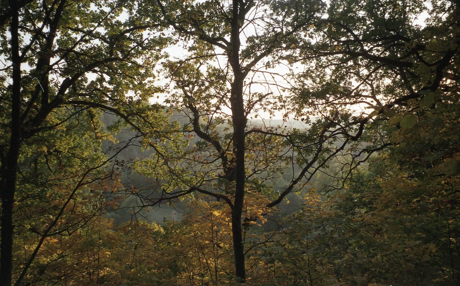 Pentax Espio 738 BLACKOUT 35mm Film Camera Point And Shoot 8 Pentax Espio 738 BLACKOUT 35mm Film Camera Point And Shoot - Image 6