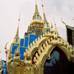 Pentax Espio Mini 35mm Point And Shoot Film Camera -Camera Promotion Store pentax espio mini 35mm point and shoot film camera 8