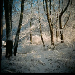 Pentax K1000 Brown Leather Vintage SLR 35mm Film Camera With Pentax F/2 50mm Prime Lens. -Camera Promotion Store pentax k1000 brown leather vintage slr 35mm film camera with pentax f2 50mm prime lens 11