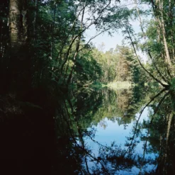 Pentax K1000 Brown Leather Vintage SLR 35mm Film Camera With Pentax F/2 50mm Prime Lens. -Camera Promotion Store pentax k1000 brown leather vintage slr 35mm film camera with pentax f2 50mm prime lens 8