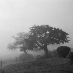 Pentax K1000 Brown Leather Vintage SLR 35mm Film Camera With Pentax F/2 50mm Prime Lens. -Camera Promotion Store pentax k1000 brown leather vintage slr 35mm film camera with pentax f2 50mm prime lens 9