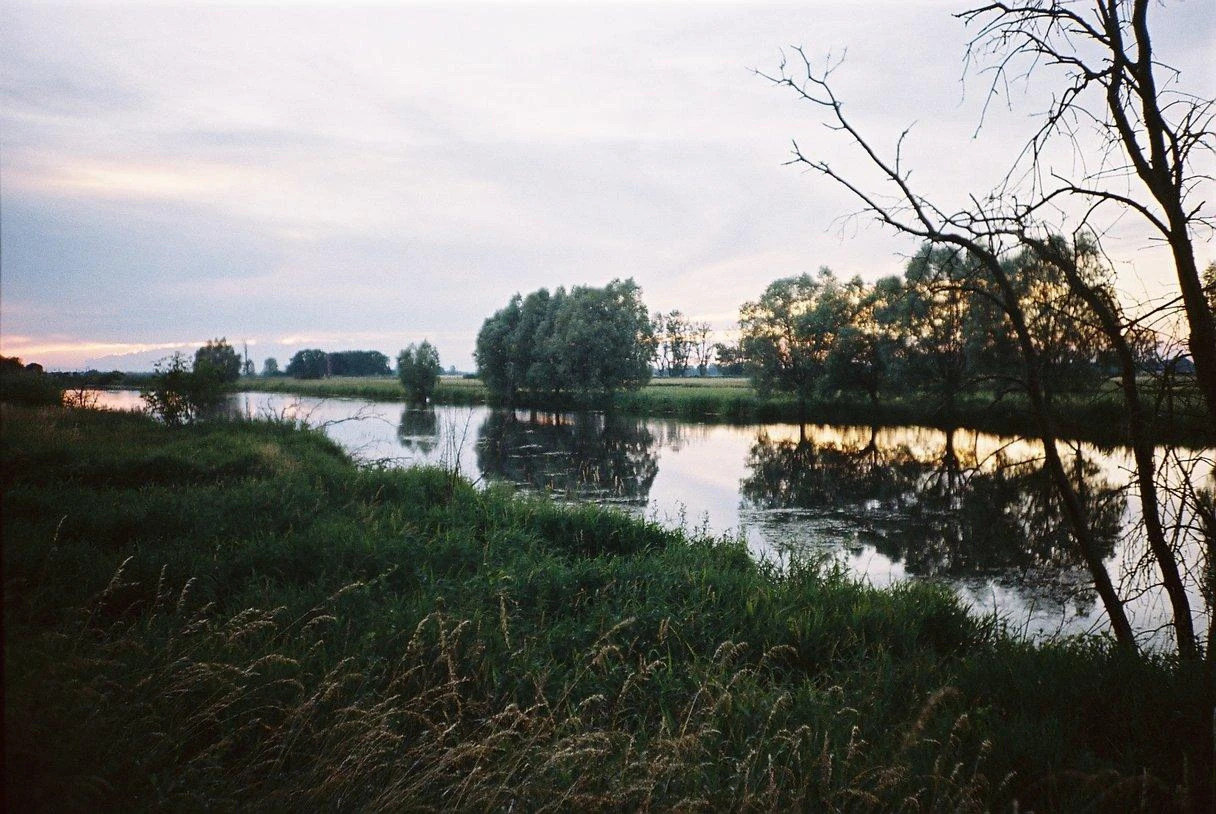 Pentax K1000 Navy Leather Vintage SLR 35mm Film Camera With Pentax F/2 50mm Prime Lens. 13 Pentax K1000 Navy Leather Vintage SLR 35mm Film Camera With Pentax F/2 50mm Prime Lens. - Image 11