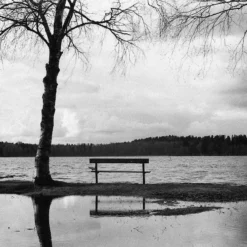 Pentax K1000 Navy Leather Vintage SLR 35mm Film Camera With Pentax F/2 50mm Prime Lens. 19 Pentax K1000 Navy Leather Vintage SLR 35mm Film Camera With Pentax F/2 50mm Prime Lens. -Camera Promotion Store pentax k1000 navy leather vintage slr 35mm film camera with pentax f2 50mm prime lens 7