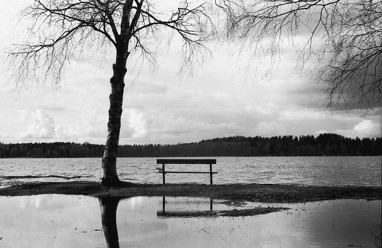 Pentax K1000 Navy Leather Vintage SLR 35mm Film Camera With Pentax F/2 50mm Prime Lens. 9 Pentax K1000 Navy Leather Vintage SLR 35mm Film Camera With Pentax F/2 50mm Prime Lens. - Image 7