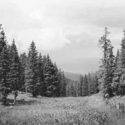 Pentax K1000 White Leather Vintage SLR 35mm Film Camera With Pentax F/2 50mm Prime Lens -Camera Promotion Store pentax k1000 white leather vintage slr 35mm film camera with pentax f2 50mm prime lens 7