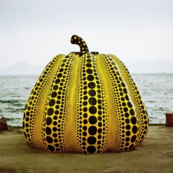 Pentax ME Vintage SLR 35mm Film Camera With F/1.2 50mm Prime Lens -Camera Promotion Store pentax me vintage slr 35mm film camera with f1 2 50mm prime lens 13