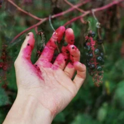 Pentax P30 Vintage SLR 35mm Film Camera With F/1.2 50mm Prime Lens -Camera Promotion Store pentax p30 vintage slr 35mm film camera with f1 2 50mm prime lens 11