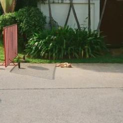 Pentax Zoom 70X 35mm Film Camera Point And Shoot -Camera Promotion Store pentax zoom 70x 35mm film camera point and shoot 8