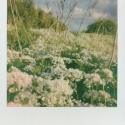 Polaroid Originals 600 Colour Instant Film 8 Shots. 23 Polaroid Originals 600 Colour Instant Film 8 Shots. -Camera Promotion Store polaroid originals 600 colour instant film 8 shots 10