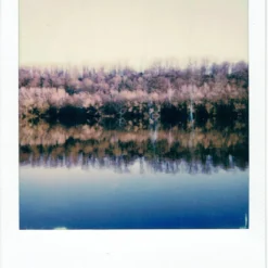 Polaroid Originals 600 Colour Instant Film 8 Shots. 21 Polaroid Originals 600 Colour Instant Film 8 Shots. -Camera Promotion Store polaroid originals 600 colour instant film 8 shots 8