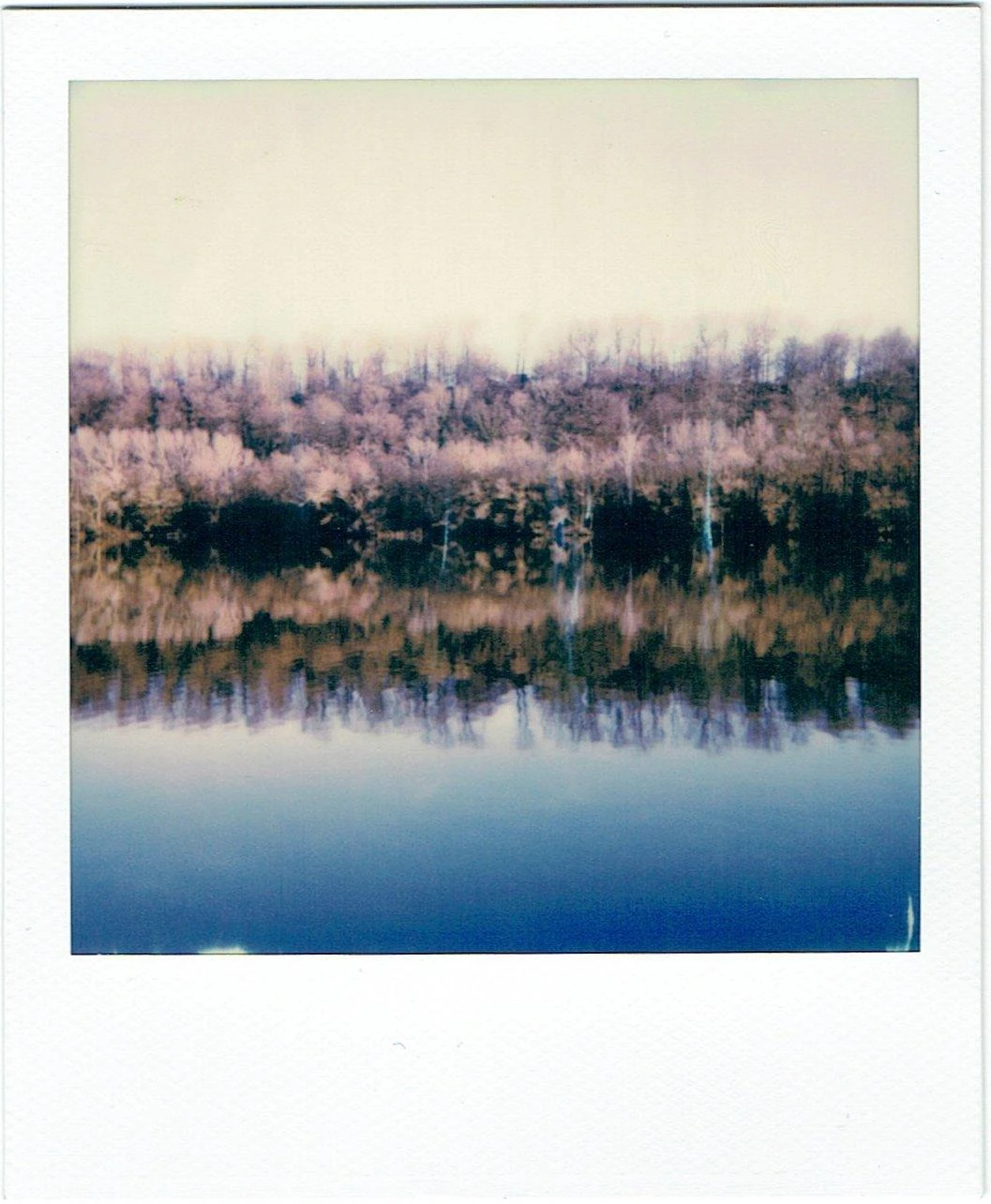 Polaroid Originals 600 Colour Instant Film 8 Shots. 10 Polaroid Originals 600 Colour Instant Film 8 Shots. - Image 8