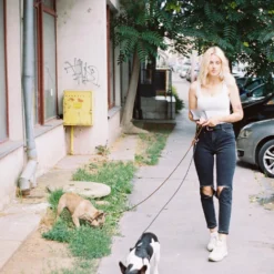 Praktica B 100 Electronic 35mm SLR Film Camera With Pentacton 50mm F/1.8 Lens 25 Praktica B 100 Electronic 35mm SLR Film Camera With Pentacton 50mm F/1.8 Lens -Camera Promotion Store praktica b 100 electronic 35mm slr film camera with pentacton 50mm f1 8 lens 12