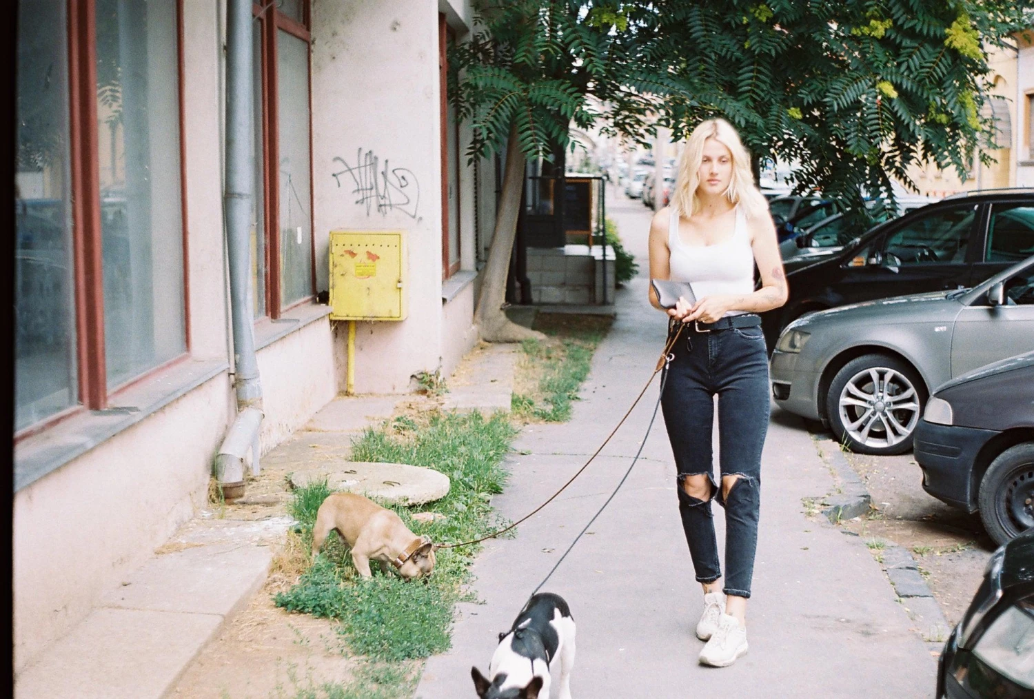 Praktica B 100 Electronic 35mm SLR Film Camera With Pentacton 50mm F/1.8 Lens 14 Praktica B 100 Electronic 35mm SLR Film Camera With Pentacton 50mm F/1.8 Lens - Image 12