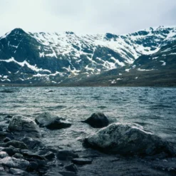 Ricoh FF 70 35mm Film Camera Point And Shoot -Camera Promotion Store ricoh ff 70 35mm film camera point and shoot 10