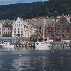 Ricoh KR-10M Auto 35mm Film Camera With 50mm Lens -Camera Promotion Store ricoh kr 10m auto 35mm film camera with 50mm lens 5