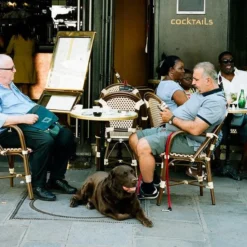 Ricoh RZ-900 35mm Film Camera Point And Shoot -Camera Promotion Store ricoh rz 900 35mm film camera point and shoot 7