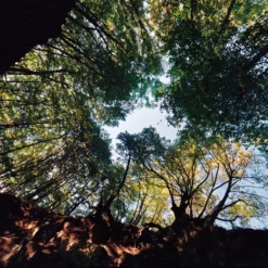 Sigma 24mm F/2.8 Super Wide Angle Camera Lens -Camera Promotion Store sigma 24mm f2 8 super wide angle camera lens 6